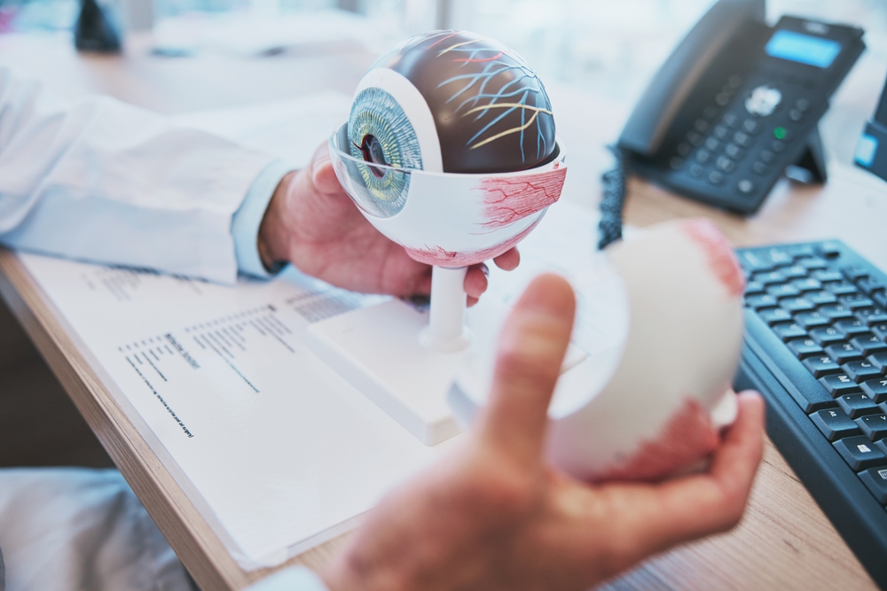A healthcare professional holds a detailed anatomical model of the human eye while explaining its structure. The close-up view highlights the importance of understanding eye health and modern treatment options – Cataract Treatment.