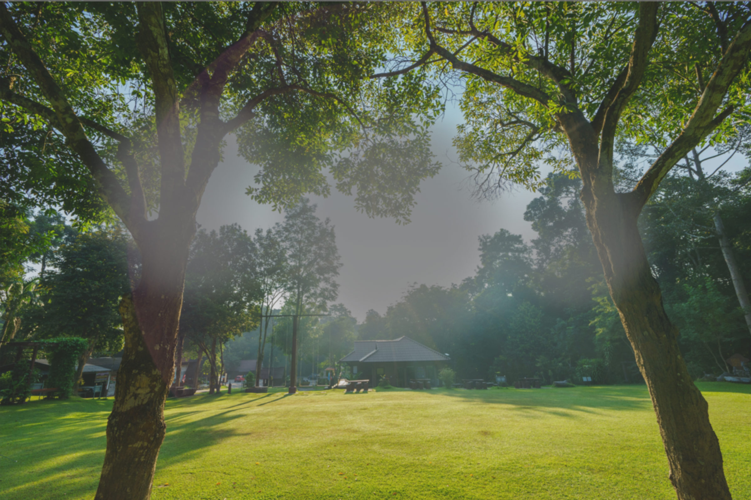 Macular Degeneration vision of a lush green park with two large trees framing the view, with a small pavilion in the distance. Sunlight filters through the trees, casting gentle shadows on the grass - Eye Doctor Rolla MO
