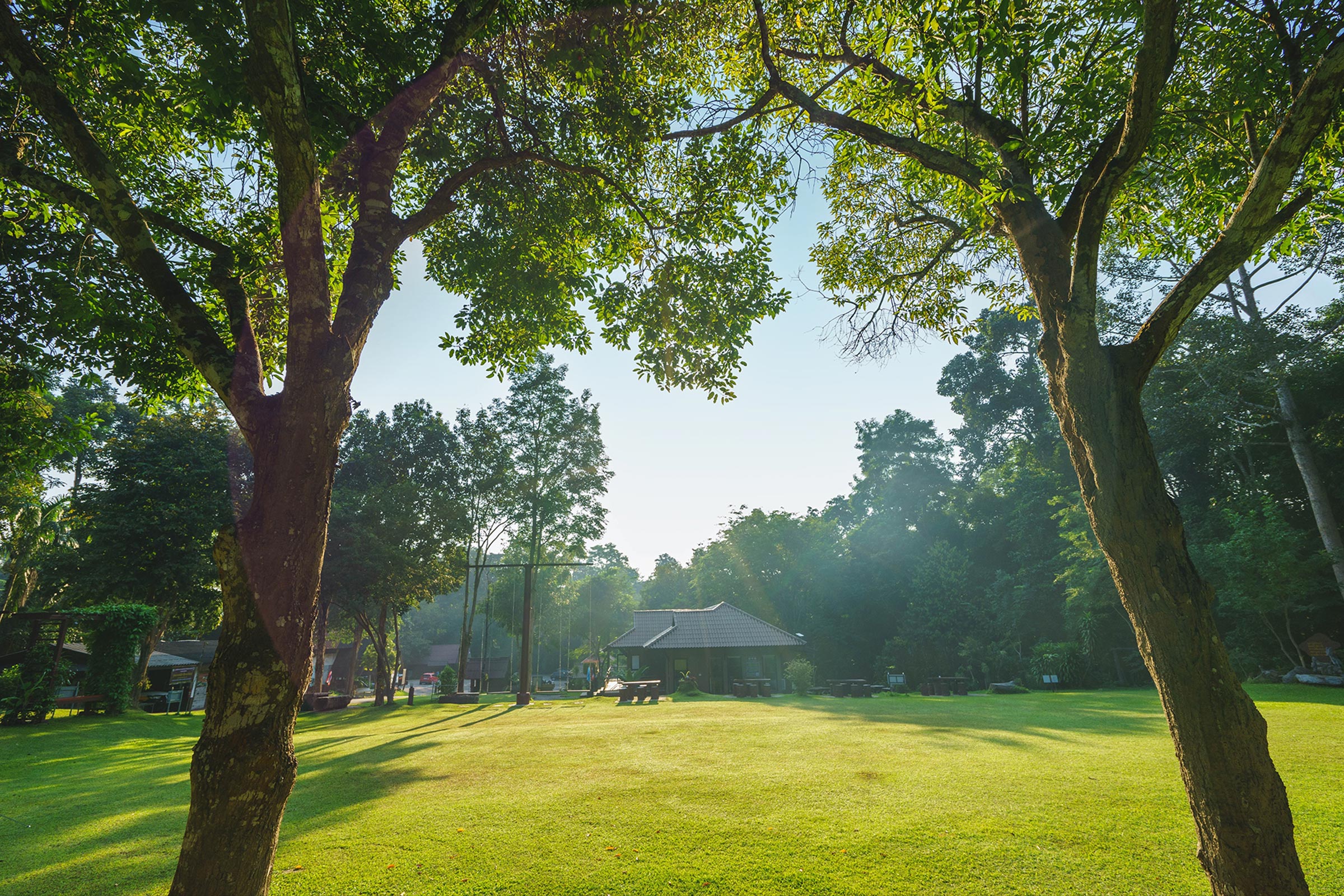 A lush green park with two large trees framing the view, with a small pavilion in the distance. Sunlight filters through the trees, casting gentle shadows on the grass - Eye Doctor Rolla MO